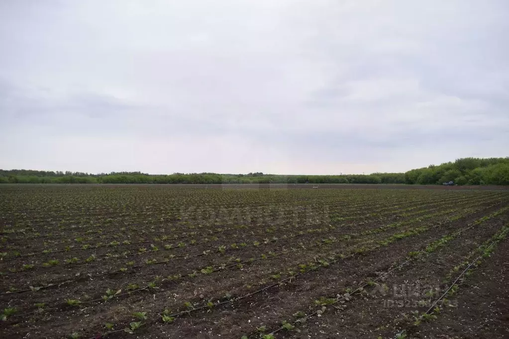 Участок в Воронежская область, с. Семилуки ул. Ленина, 17 (364.0 сот.) - Фото 2