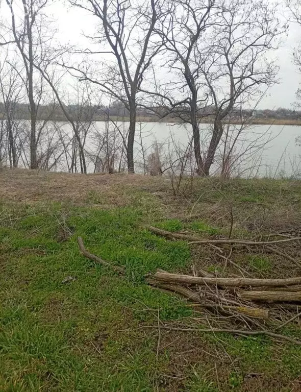 Участок в хутор Беднягина, Заречная улица (25 м) - Фото 2