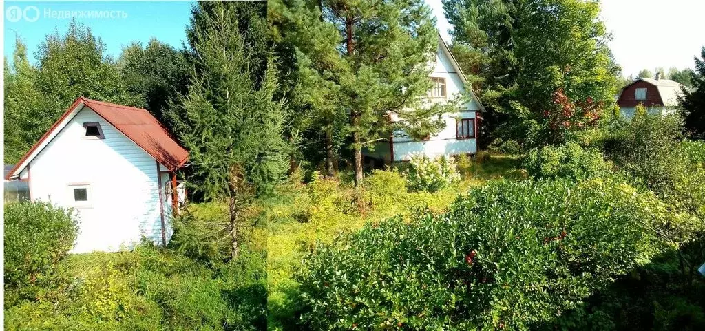 дом в выборгский район, рощинское городское поселение, садоводческое . - Фото 1