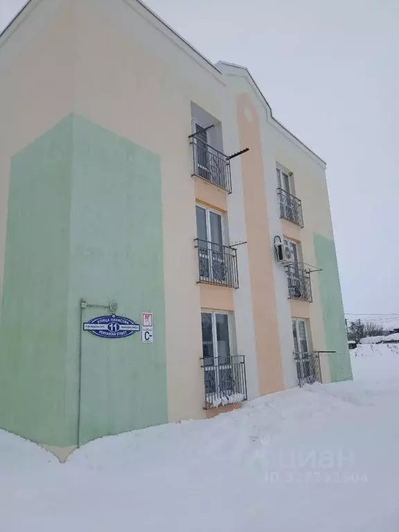 1-к кв. Мордовия, Саранск городской округ, Луховка рп ул. Пинясова, 11 ... - Фото 1