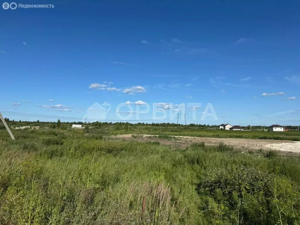 Участок в СНТ Березняки (6 м) - Фото 1