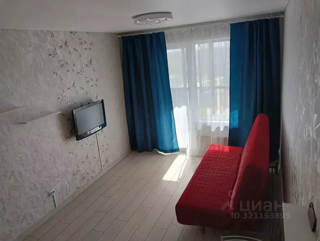 Студия Новосибирская область, Новосибирский район, Мочищенский ... - Фото 2