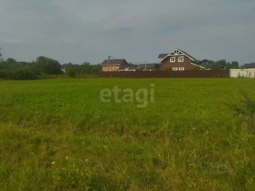Участок в Ярославская область, Ярославский муниципальный округ, ... - Фото 1