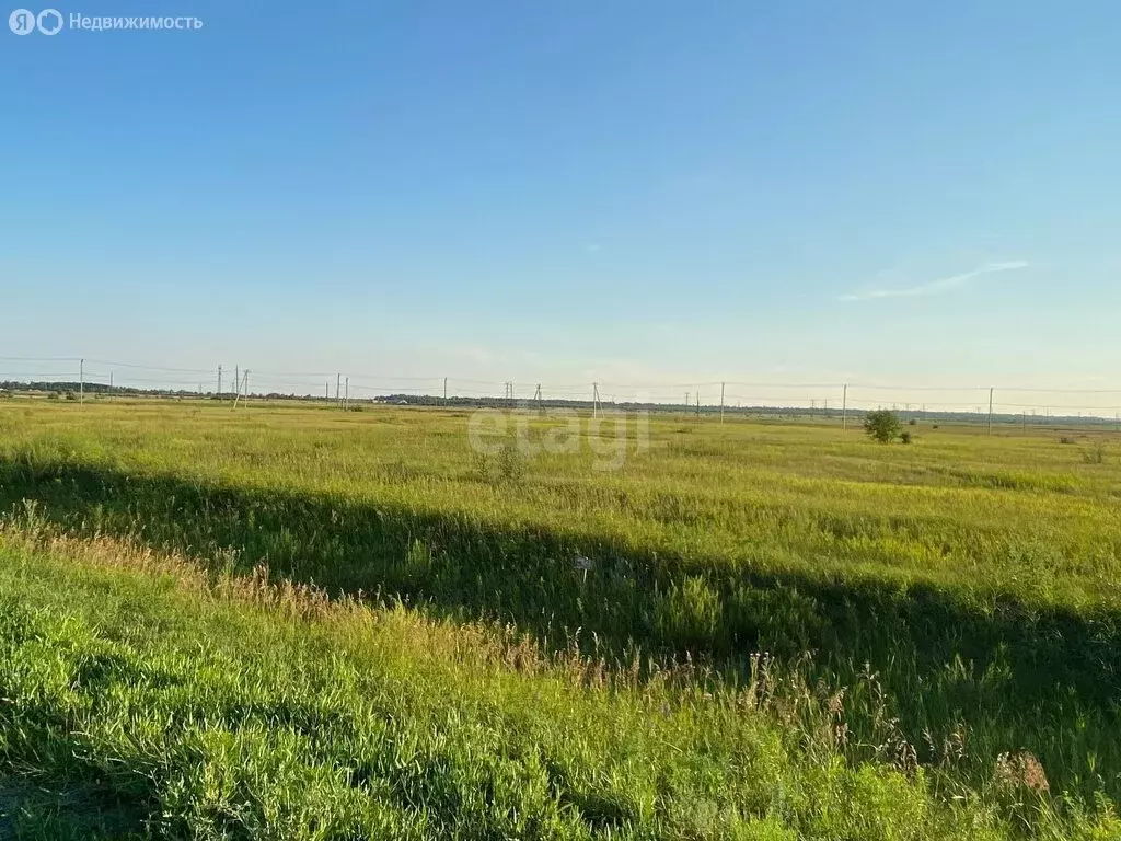 Участок в Курганская область, Кетовский муниципальный округ, село ... - Фото 1