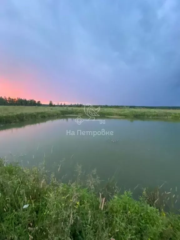 участок в московская область, чехов городской округ, д. хоросино . - Фото 1