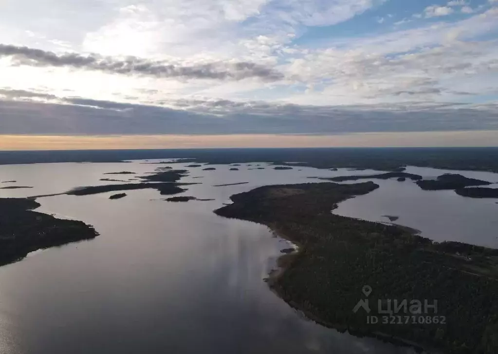 Участок в Псковская область, Куньинский район, Жижицкая волость, д. ... - Фото 2