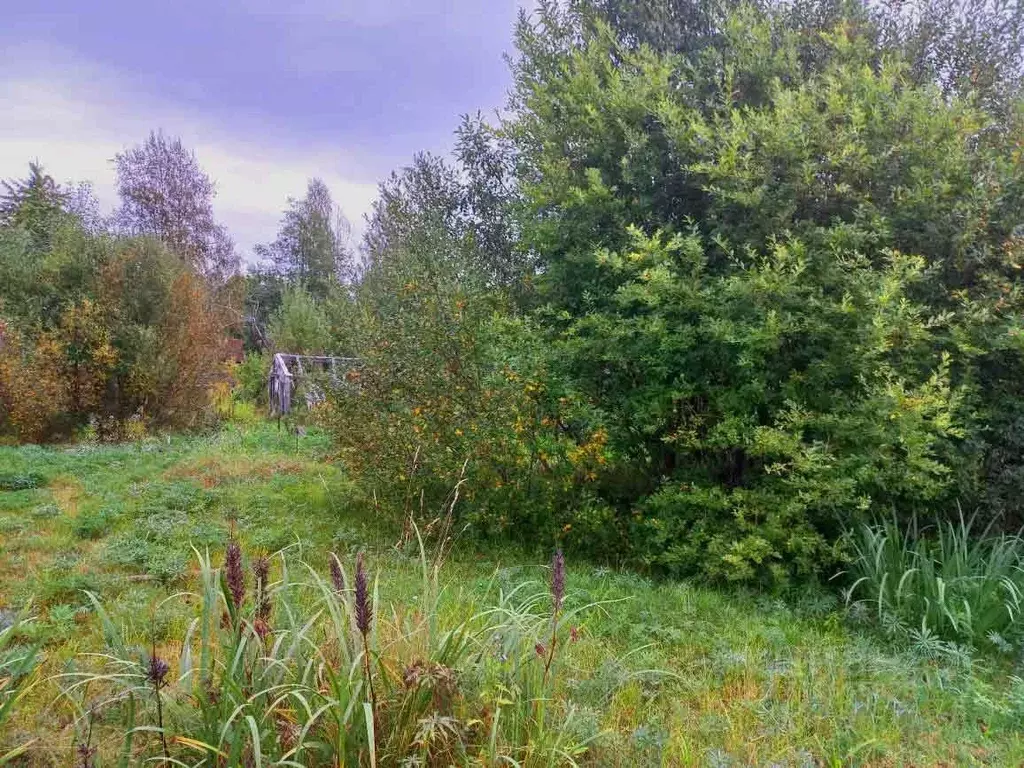 Участок в Московская область, Подольск городской округ, д. Бородино  ... - Фото 1