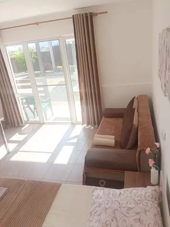 1-к кв. Крым, Феодосия муниципальный округ, Орджоникидзе пгт, Заря ... - Фото 2