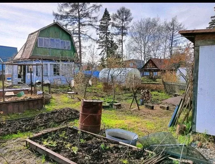 Дом в Новосибирская область, Новосибирск Буревестник садовое ... - Фото 1