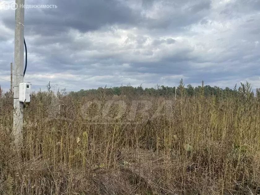 участок в тюменский район, село каменка (7.6 м) - Фото 1