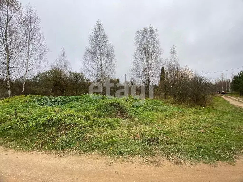 Участок в Костромская область, Судиславский район, Расловское с/пос, ... - Фото 1