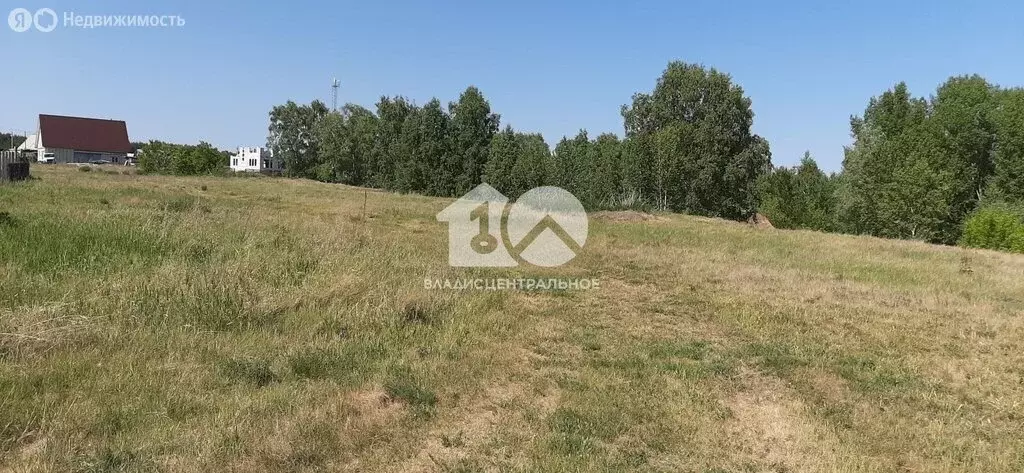 Участок в Ордынский район, поселок Чернаково, Рассветная улица (8.4 м) - Фото 1