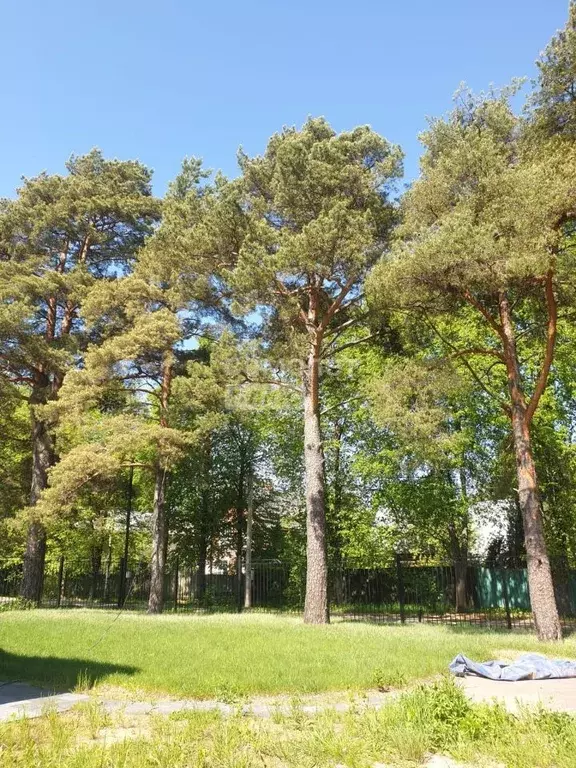 Участок в Московская область, Одинцовский городской округ, с. ... - Фото 1