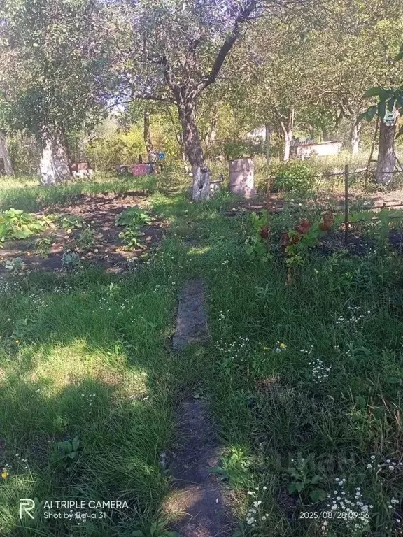 Дом в Белгородская область, Белгородский район, Ериковское с/пос, ... - Фото 2