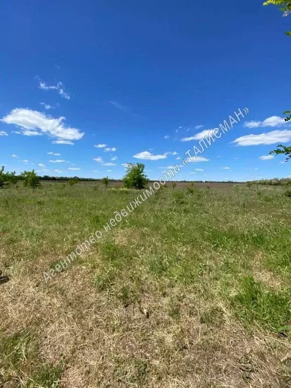 Участок в Ростовская область, Неклиновский район, Новобессергеневское ... - Фото 0