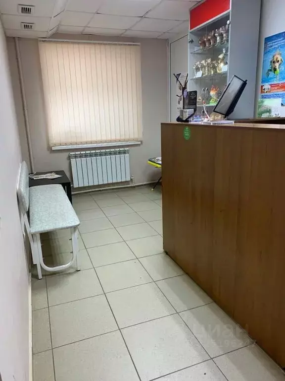 Помещение свободного назначения в Чувашия, Чебоксары ул. Фридриха ... - Фото 1