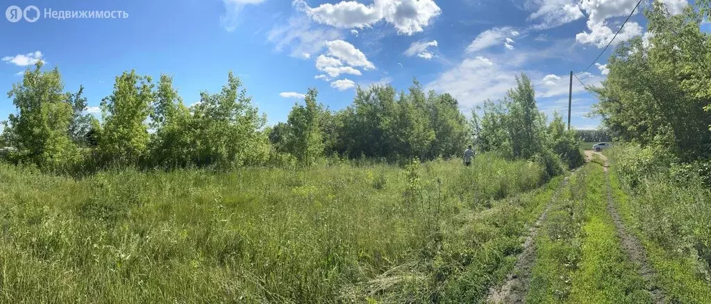 Участок в Булгаковский сельсовет, СНТ Раздолье, 58 (10 м) - Фото 1