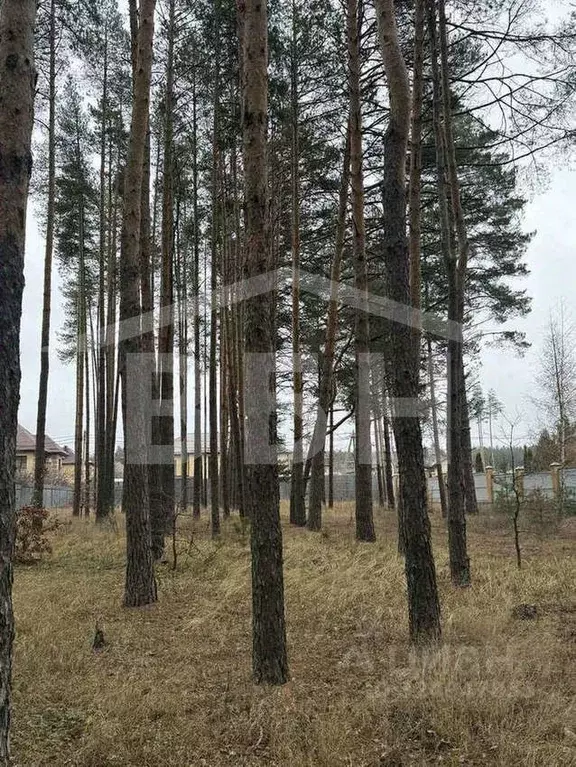 Участок в Воронежская область, Рамонский район, Яменское с/пос, д. ... - Фото 1