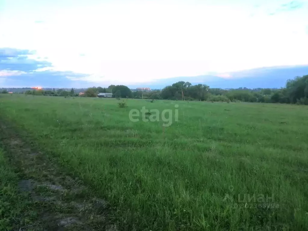 Участок в Воронежская область, Семилукское с/пос, с. Ендовище ул. ... - Фото 1