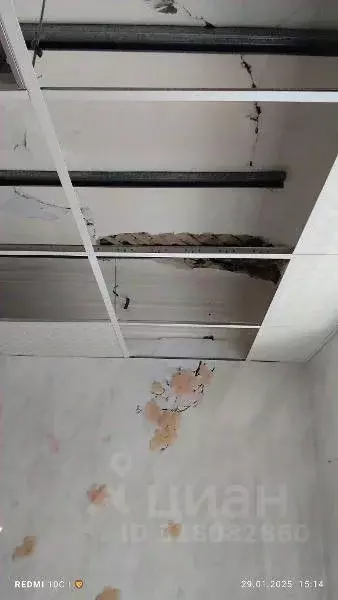 Помещение свободного назначения в Амурская область, Райчихинск ул. ... - Фото 0