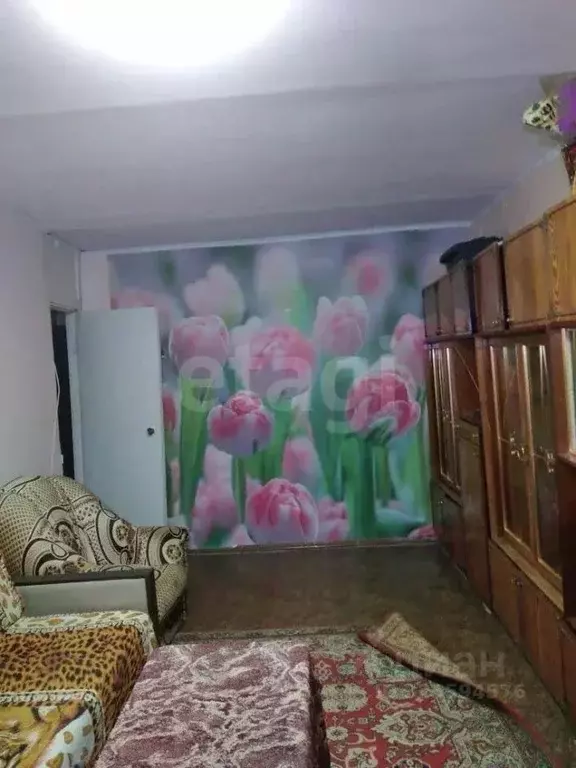 2-к кв. Хабаровский край, Солнечный район, пос. Хурмули Ключевая ул., ... - Фото 1