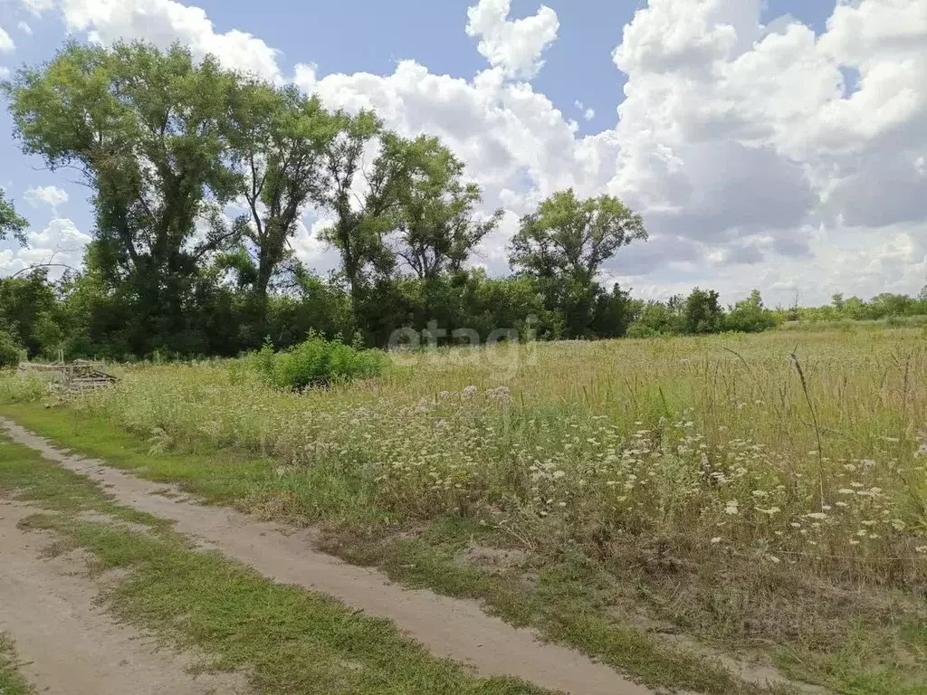 Участок в Воронежская область, Воронеж ул. Совхозная (10.6 сот.) - Фото 0