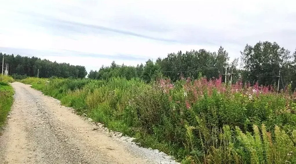 Участок в Свердловская область, Полевской городской округ, с. ... - Фото 1