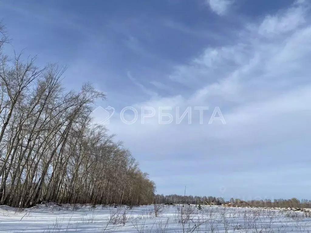 Участок в Тюменская область, Тюменский район, с. Луговое Плодовая ул. ... - Фото 0