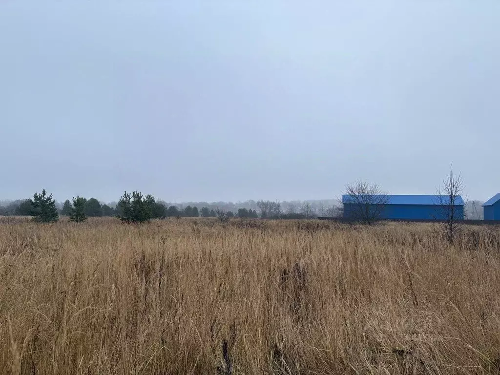 Участок в Московская область, Воскресенск городской округ, д. Знаменка ... - Фото 1