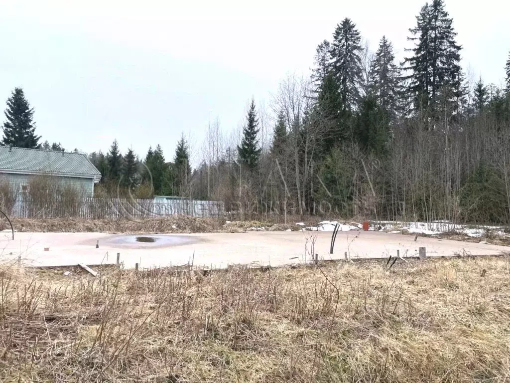 Участок в Ленинградская область, Выборг ул. Раппатила (12.0 сот.) - Фото 1