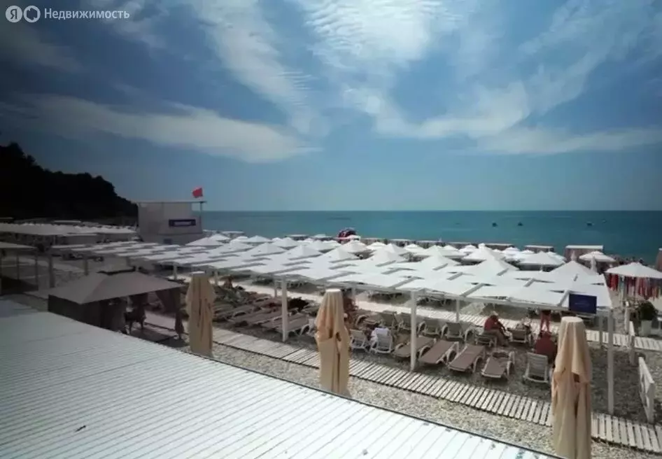 Квартира-студия: село Ольгинка, микрорайон Горизонт, 19 (30.5 м) - Фото 2