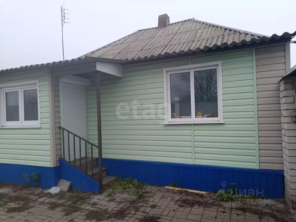 Дом в Белгородская область, Вейделевский район, с. Клименки ул. ... - Фото 1