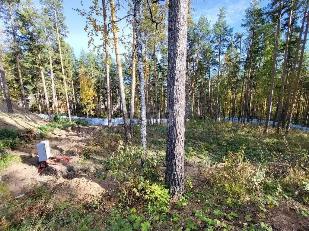 Участок в Миасс, ТСН Чайников Лог (24.6 м) - Фото 1