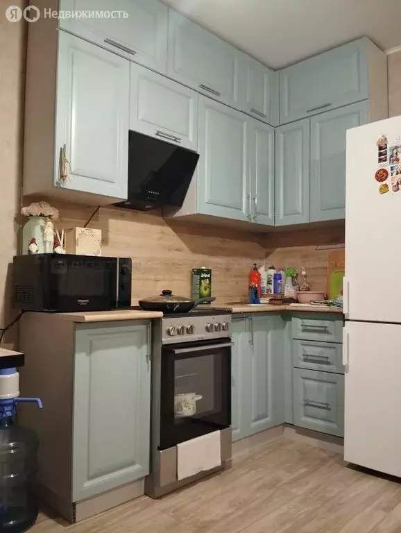 1-комнатная квартира: Осиново, улица Гайсина, 2Б (24.1 м) - Фото 1