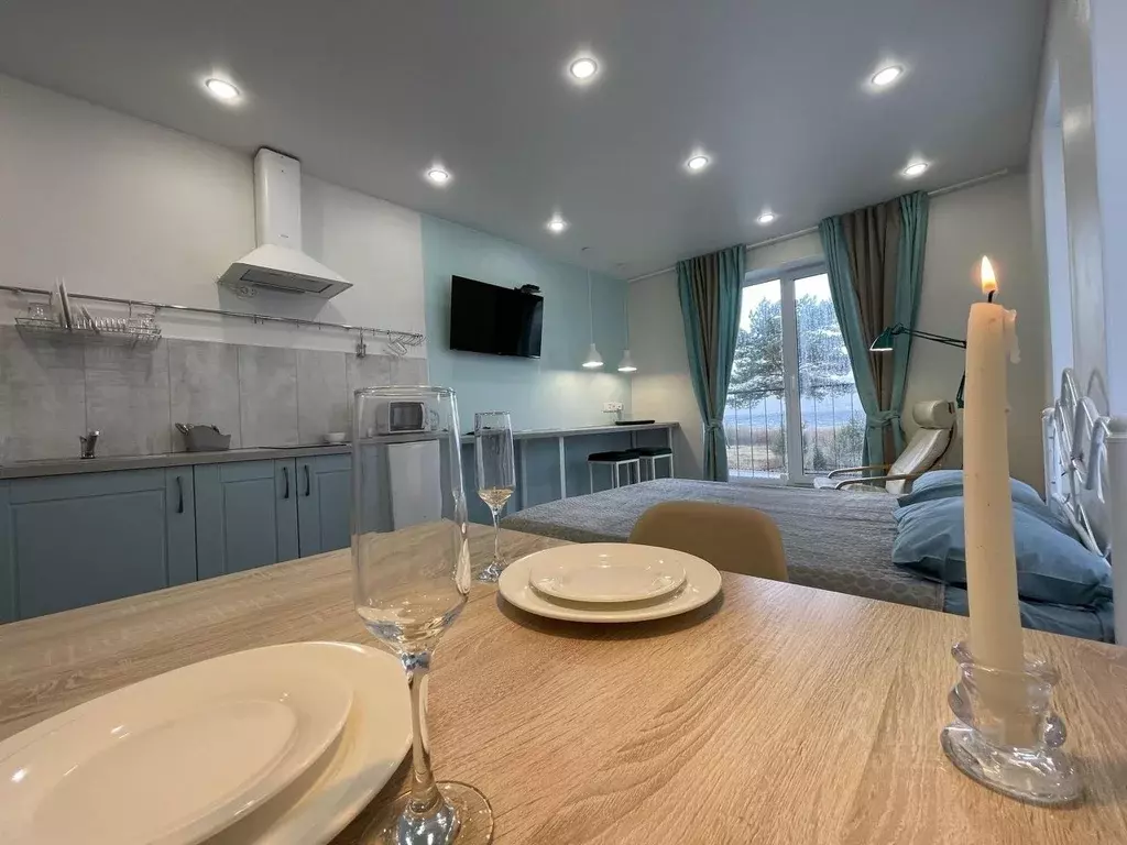 1-к кв. Псковская область, Гдовский район, д. Спицино 135 (25.0 м) - Фото 1