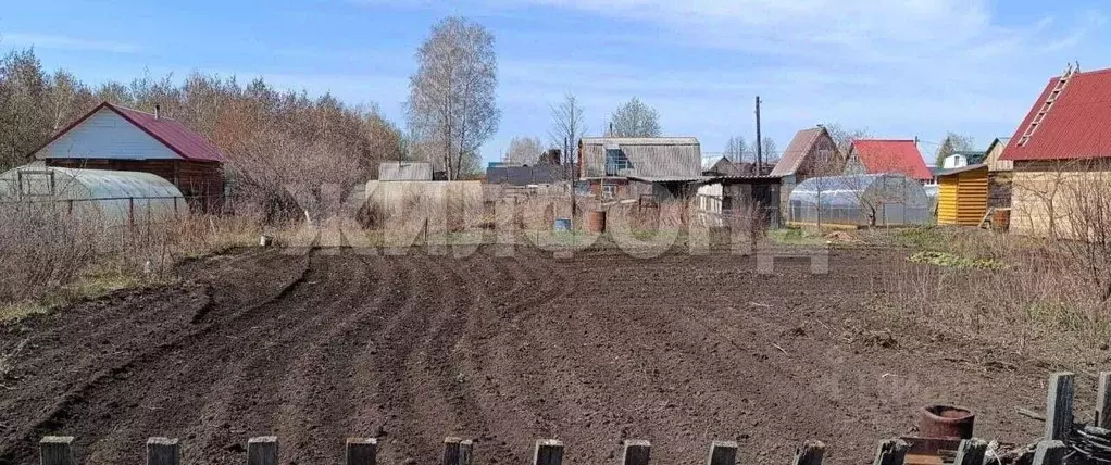Участок в Новосибирская область, Новосибирский район, Толмачевский ... - Фото 1