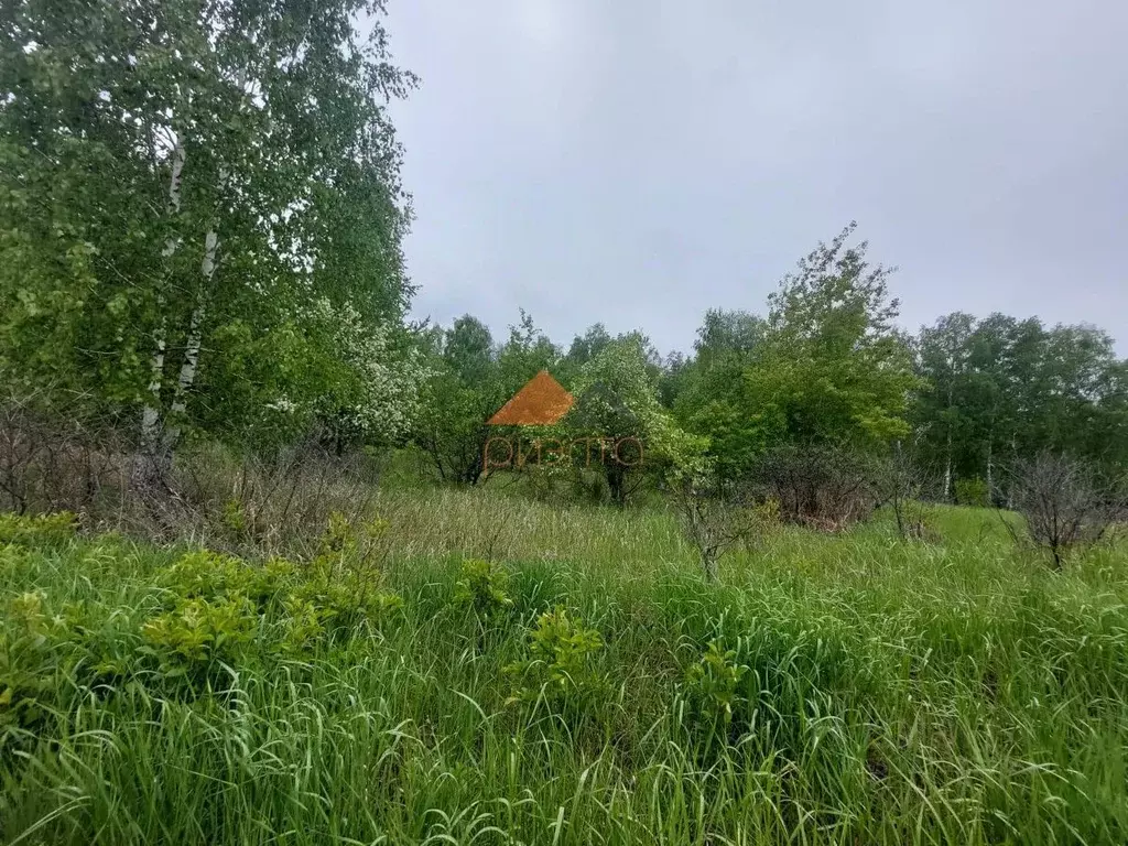 Участок в Новосибирская область, Ордынский район, Орда садовое ... - Фото 1