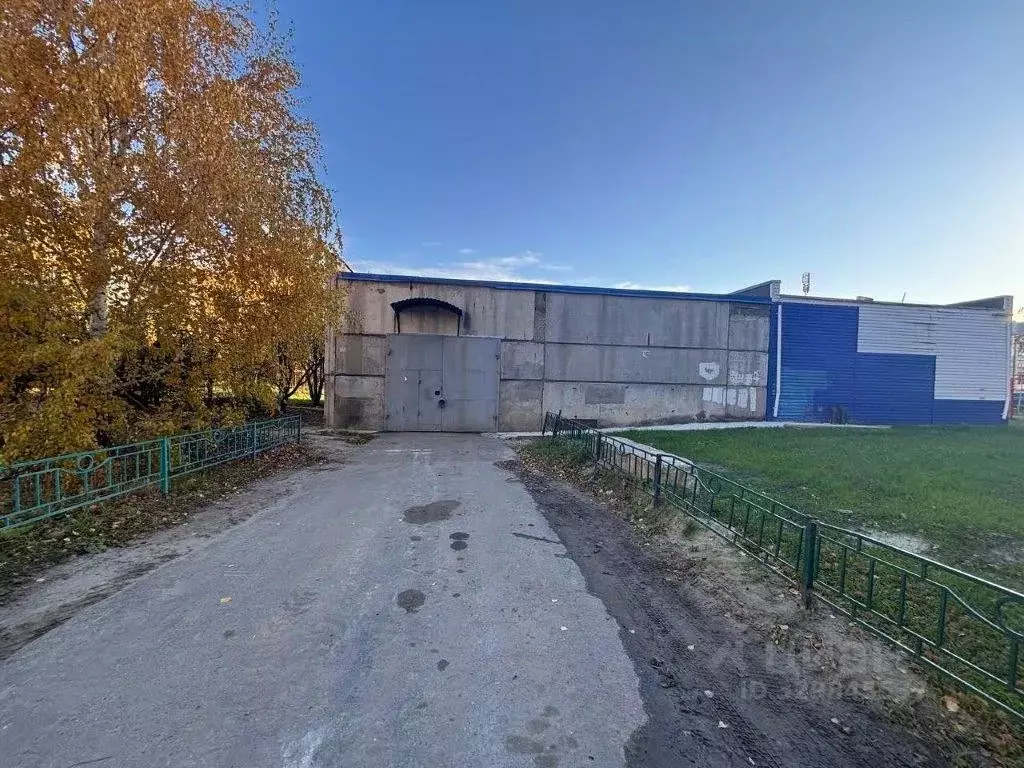 Помещение свободного назначения в Тюменская область, Тюмень ул. ... - Фото 1