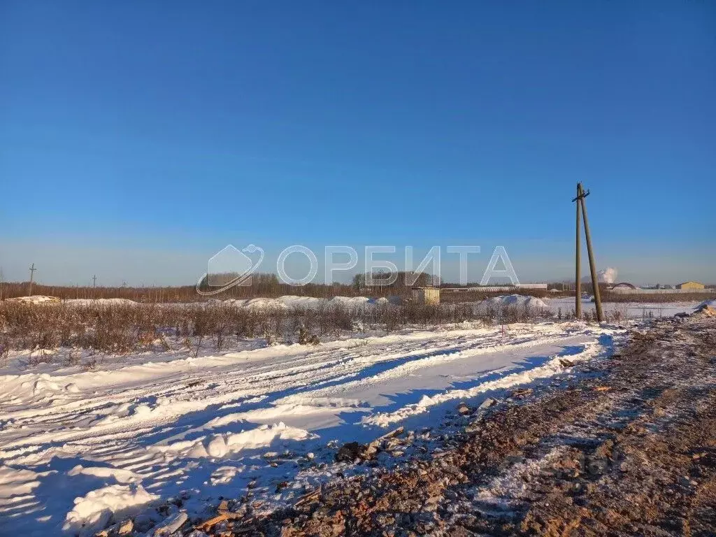 Участок в Тюменская область, Тюменский район, с. Горьковка Сибирская ... - Фото 1