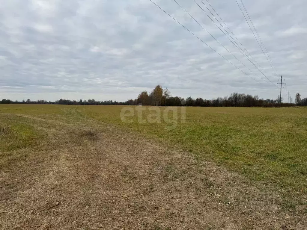 Участок в Костромская область, Красносельский район, Шолоховское ... - Фото 0