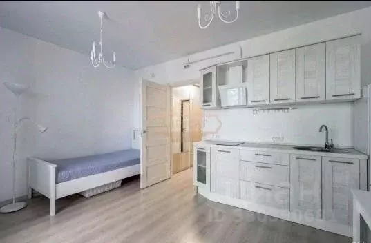 Студия Санкт-Петербург Парашютная ул., 42к1 (27.0 м) - Фото 2