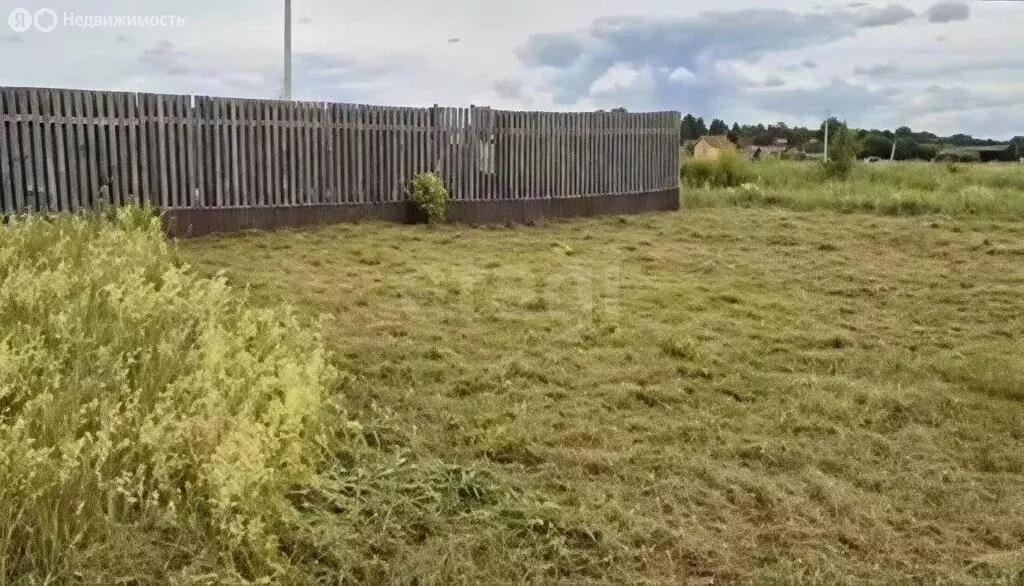 Участок в Ярославская область, Некрасовский муниципальный округ, село ... - Фото 2