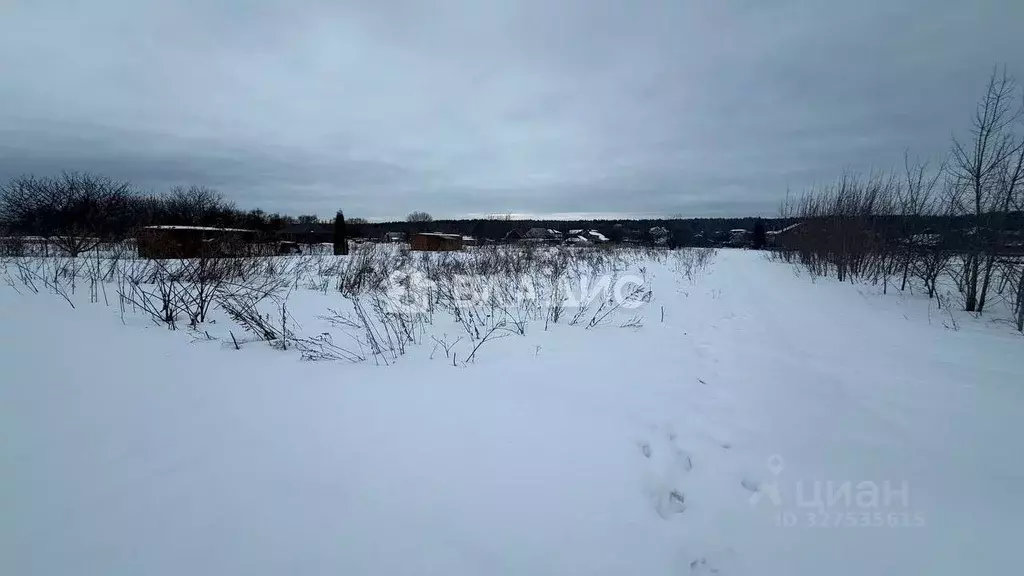 Участок в Московская область, Воскресенск городской округ, с. ... - Фото 1