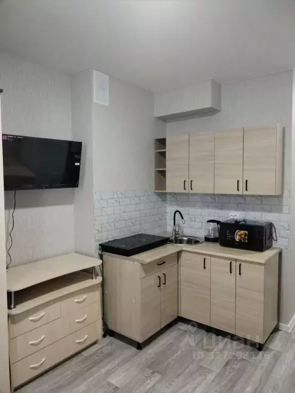 Студия Новосибирская область, Новосибирский район, Станционный ... - Фото 2