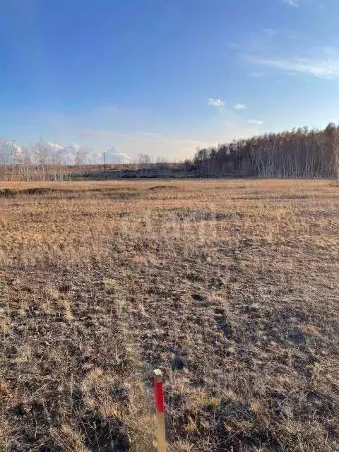 Участок в Саха (Якутия), Якутск  (10.0 сот.) - Фото 0
