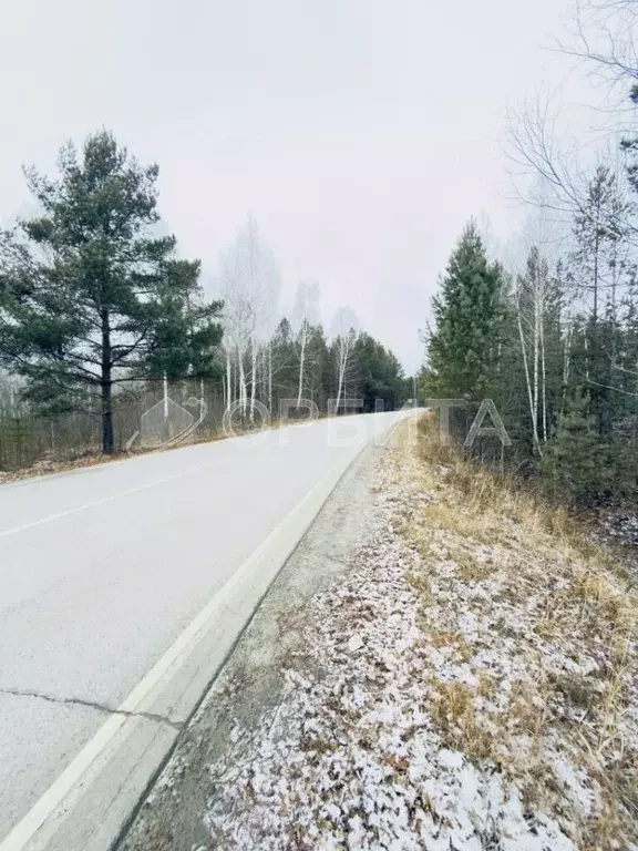 Участок в Тюменская область, Тюменский муниципальный округ, д. ... - Фото 1