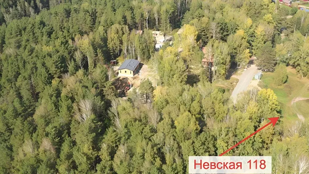 Участок в Новосибирская область, Новосибирский район, Барышевский ... - Фото 1