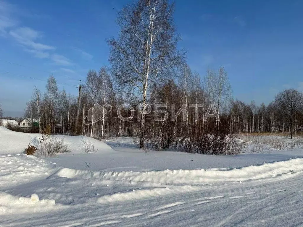 Участок в Тюменская область, Тюменский район, с. Кулига ул. ... - Фото 0