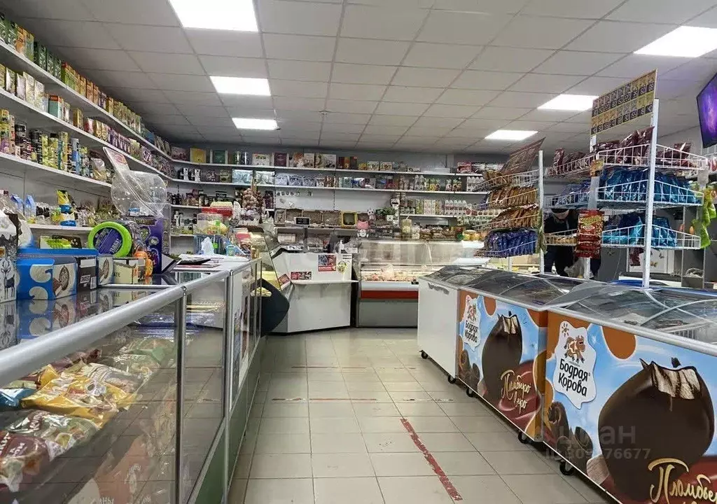 Торговая площадь в Крым, Сакский район, с. Молочное  (100 м) - Фото 1