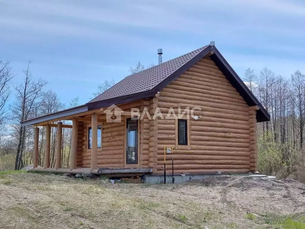 Дом в Пензенская область, Лунинский район, пос. Луговой Луговая ул., ... - Фото 2